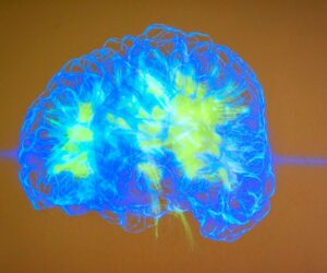 Can AI Learn And Evolve Like A Brain? Pathway’s Bold Research Thinks So
