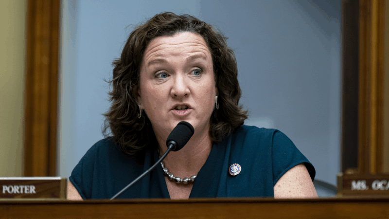 MSNBC panel debates whether Katie Porter backlash shows double standard for women