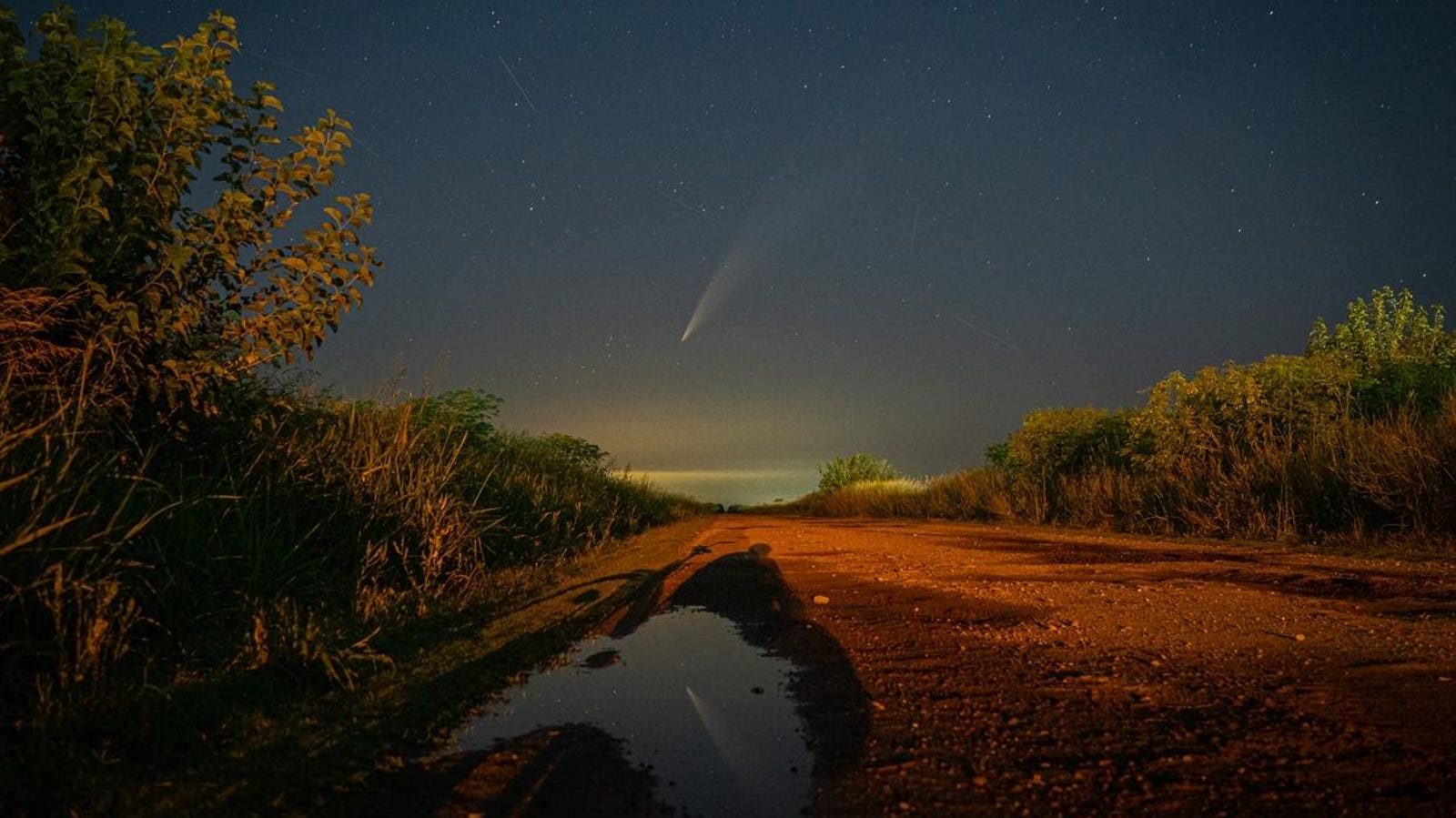 When And Where To See Comets Lemmon And SWAN