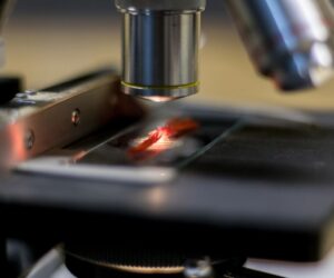 10-9 Is Nanoscience Day: AI For The Win