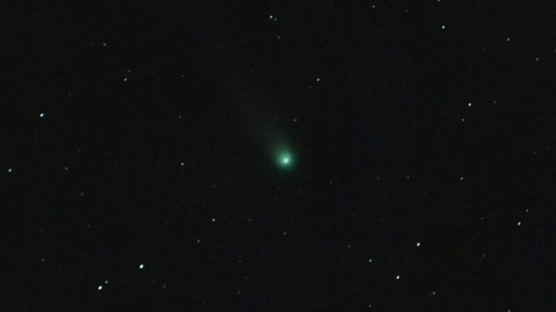 Complete Guide To Seeing Comet Lemmon This Week Close To Big Dipper