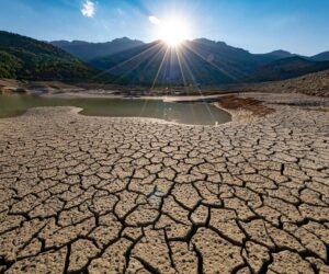 Why Most CEOs Are Wrong About The Climate Readiness Gap