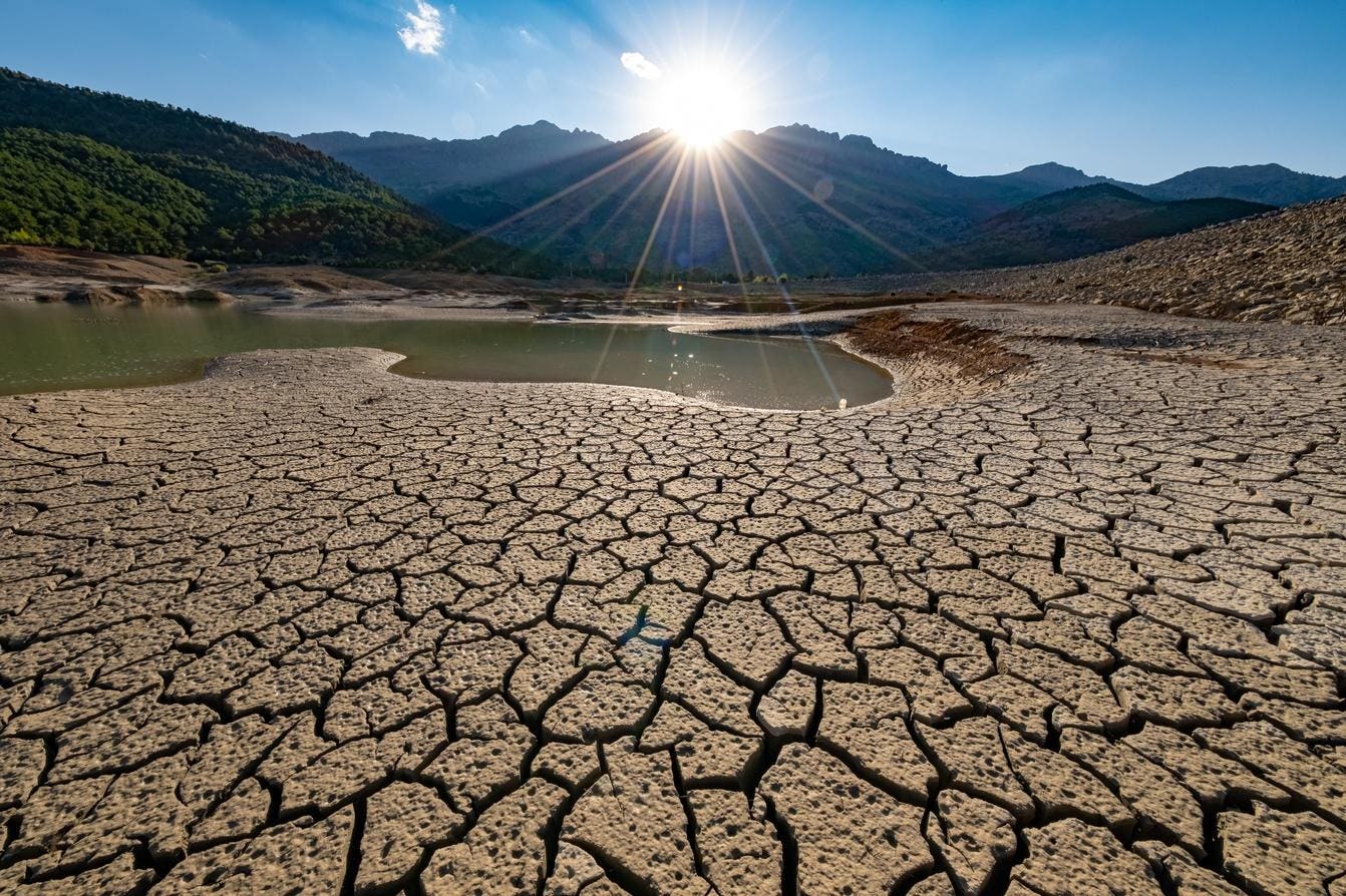 Why Most CEOs Are Wrong About The Climate Readiness Gap