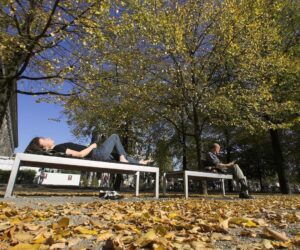From Pumpkin Spice To Power Bills, Why Fall Feels “Off”