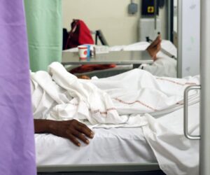 First Locally-Acquired Case Of Chikungunya Virus Reported In New York