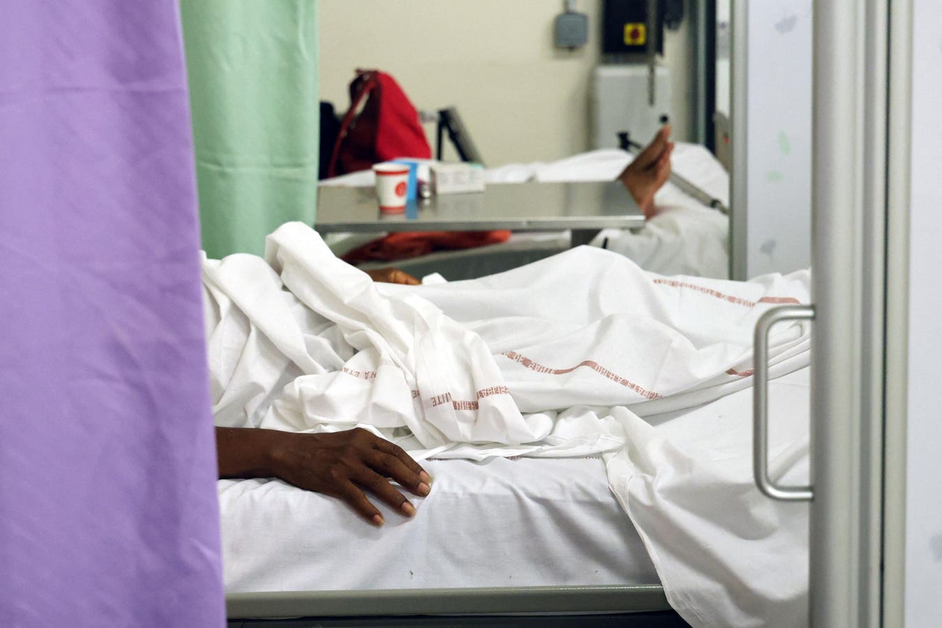 First Locally-Acquired Case Of Chikungunya Virus Reported In New York