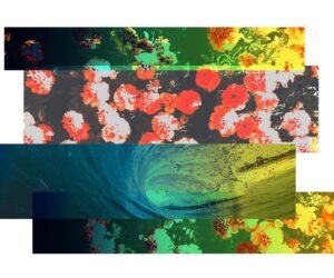 Environmental Sustainability Will Enter An Era Of Authenticity In 2026