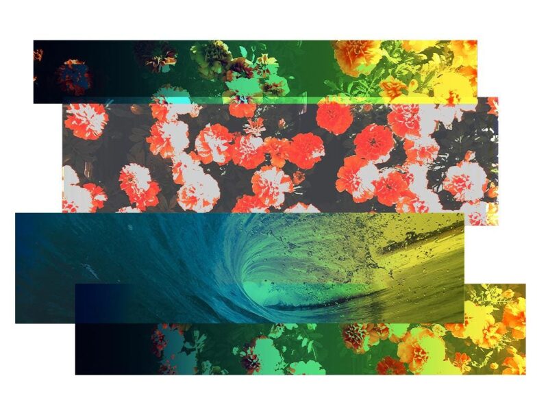 Environmental Sustainability Will Enter An Era Of Authenticity In 2026