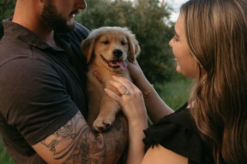 Puppy’s Life Leaves Lasting Impact On Internet Fans And Shelter Dogs