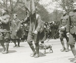 Meet ‘Sergeant Stubby’ — The Most Decorated War Dog In History, Who Helped Win WWI
