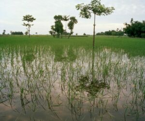 Funding The Frontlines Of Climate Innovation