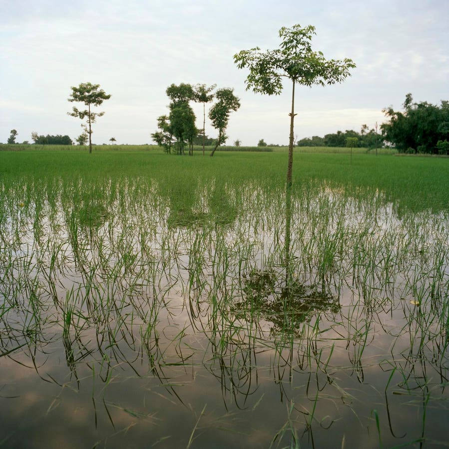 Funding The Frontlines Of Climate Innovation