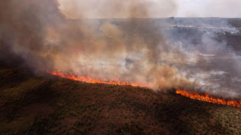 Investors Protest Deforestation As The Amazon Tipping Point Approaches