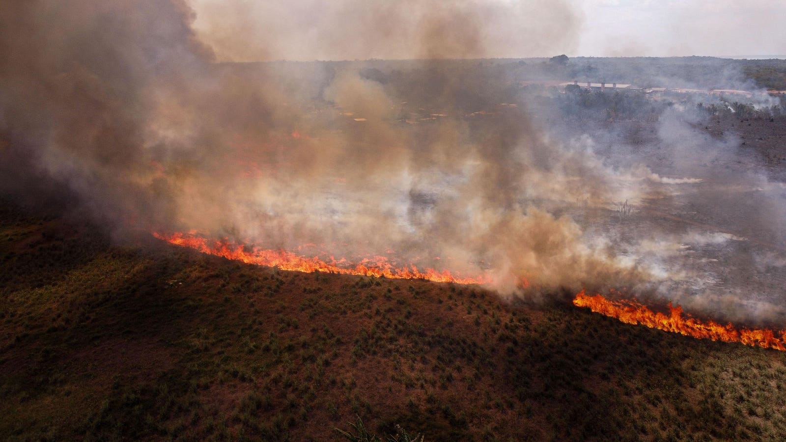 Investors Protest Deforestation As The Amazon Tipping Point Approaches