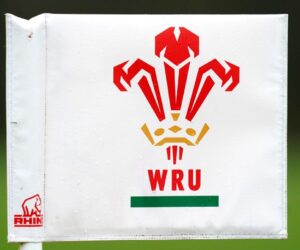 Welsh Rugby Union to cut down regions to three from 2028
