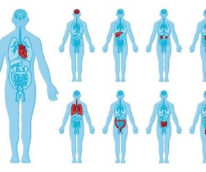 Pathologies In The AI Era
