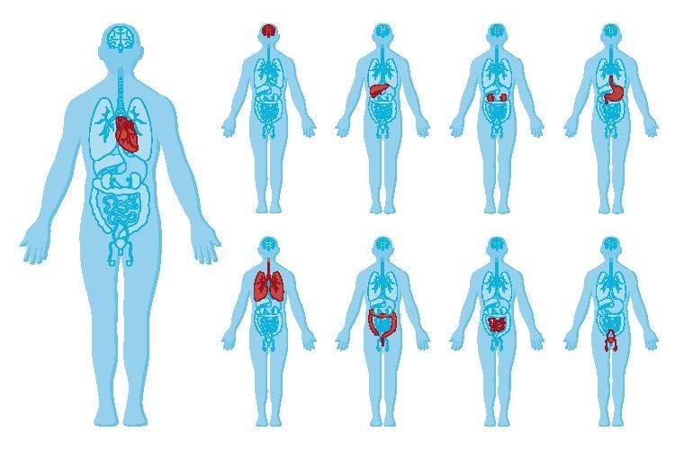 Pathologies In The AI Era