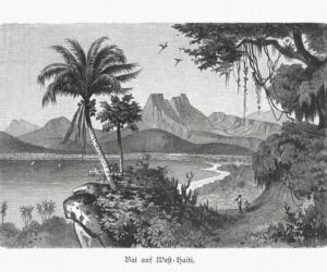 Meet 4 Plants Brought To The New World By Columbus That Quickly Became ‘American Mainstays’ — A Biologist Explains