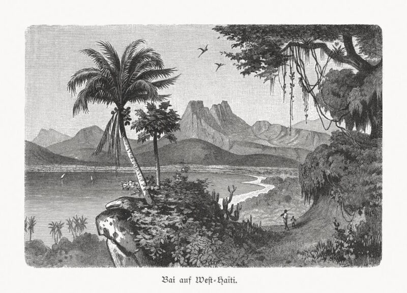 Meet 4 Plants Brought To The New World By Columbus That Quickly Became ‘American Mainstays’ — A Biologist Explains