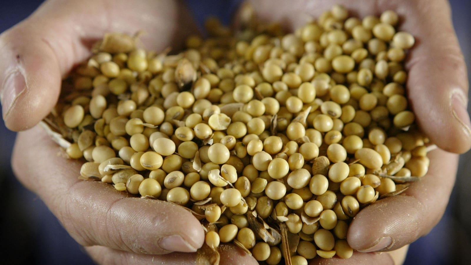 Soybean Prices Reach 15-Month High Tuesday Amid US Trade Negotiations With China