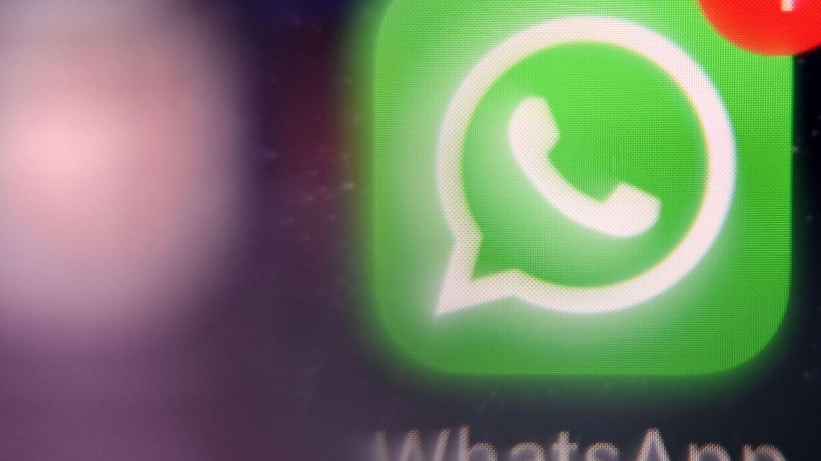 ‘We See You,’ WhatsApp Tells Users—Do Not Use These Words