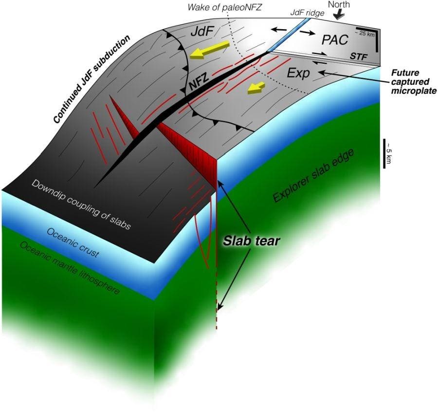 Scientists Observe The “Death” Of A Subducting Tectonic Plate For The First Time