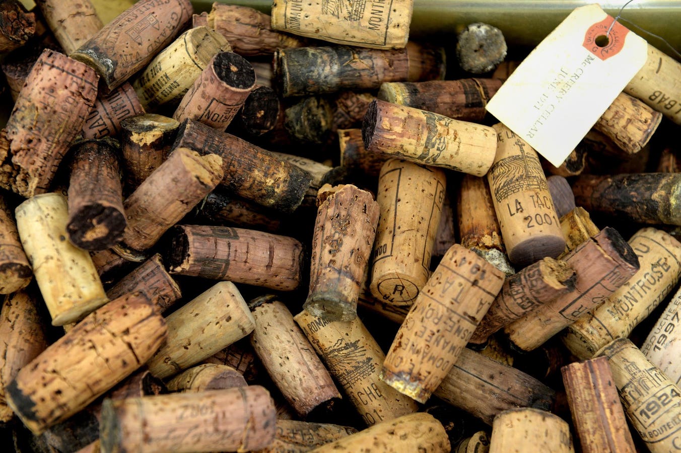 A Short History Of Wine Fraud By Rebecca Gibb — Review