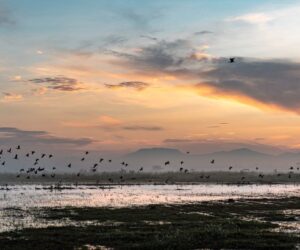 Rainfall Buries a Mega-Airport in Mexico