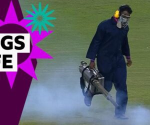 Women’s Cricket World Cup: Fly infestation interrupts match between India and Pakistan