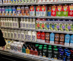 Boston considers government-owned grocery stores after Atlanta success