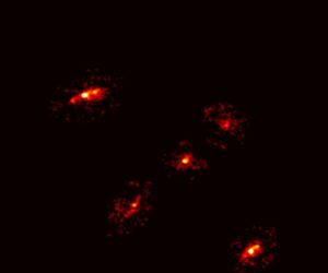 A Newly Discovered ‘Einstein’s Cross’ Reveals the Existence of a Giant Dark Matter Halo