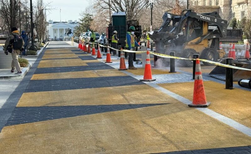 Black History Cannot Be Erased