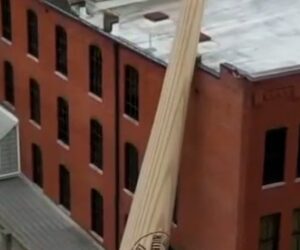 Louisville puts on birthday party for baseball bat