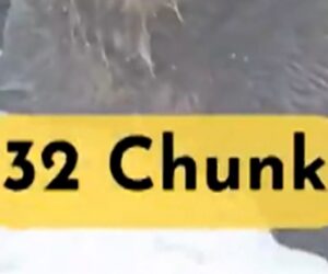 Chunk named top “Fat Bear” of 2025