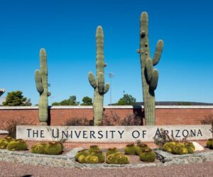 How Nine Colleges Responded to Trump’s ‘Compact’