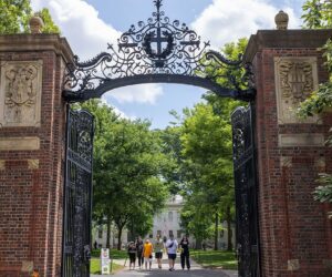 Harvard charges $13K for DEI training on bias and privilege issues