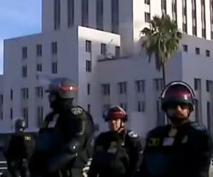 L.A. County declares state of emergency over raids