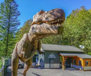 Marxist food tours and dinosaur deals: A tour of lefty lunacy and media craziness