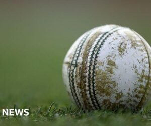 Teenage cricketer dies in Melbourne after being hit by ball