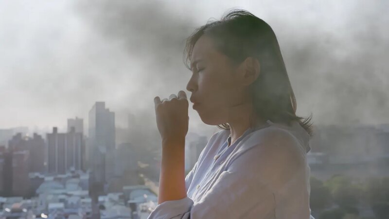 Alzheimer’s and dementia symptoms could worsen with air pollution, study finds