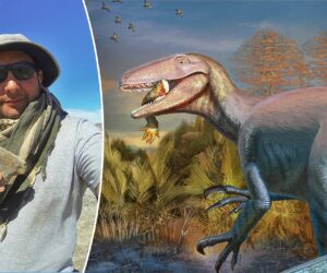 Dinosaur, 23 feet long, unearthed at tourist hotspot with last meal still in its mouth
