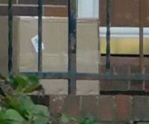 Package delivered to house contained human body parts