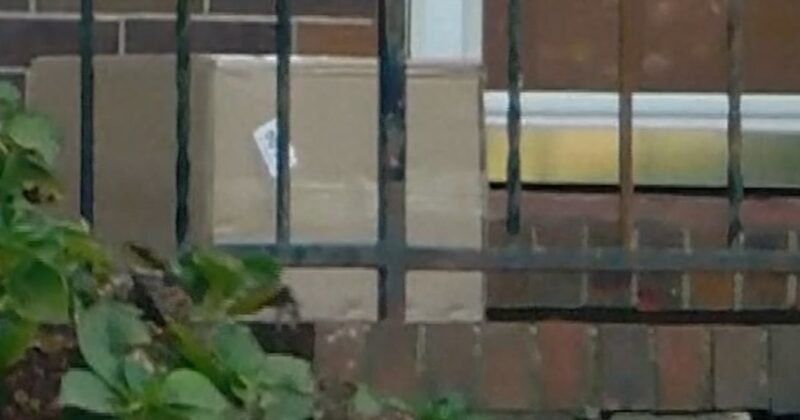 Package delivered to house contained human body parts