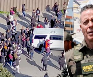 DHS releases footage showing Border Patrol tear gas use in Chicago raid