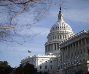 Expert reveals how H1B visa program is harming American college graduates