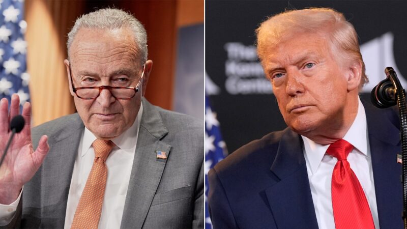 Chuck Schumer faces heat over government shutdown and healthcare fight