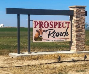 Six people die from toxic hydrogen sulfide gas at Colorado dairy farm