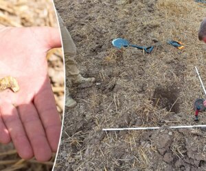 Hundreds of Celtic gold coins discovered in Czech Republic archaeological dig