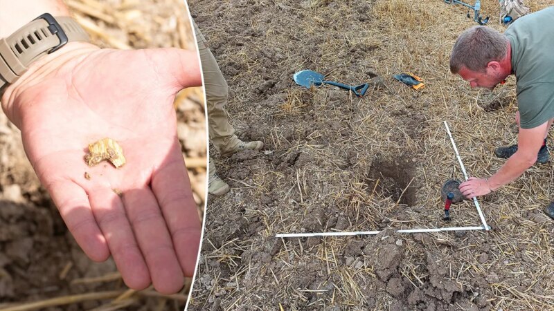 Hundreds of Celtic gold coins discovered in Czech Republic archaeological dig