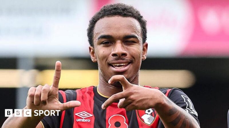 Is 'accomplished finisher' Kroupi Bournemouth's latest hidden gem?